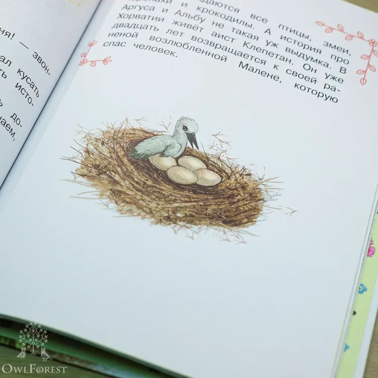 Книга «Как я родился? Сказки капустной феи»  Наталия Немцова 