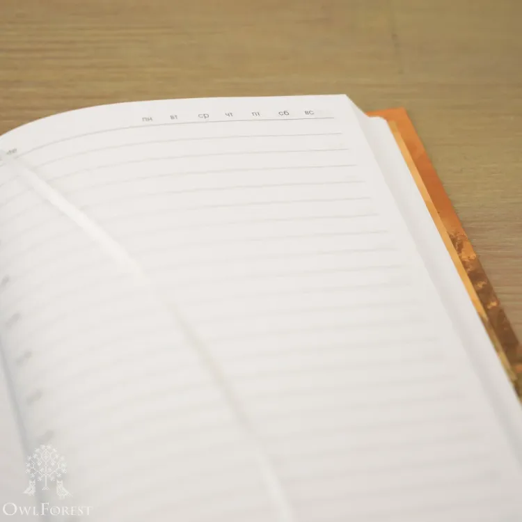 Ежедневник «Еноты-рукодельники»