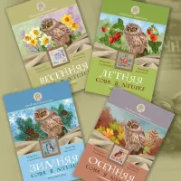 Набор ниток сюрприз «Сезонная сова в мешке»