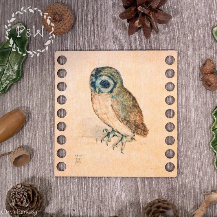 Органайзер «Сыч» Альбрехта Дюрера