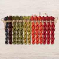 Набор ниток OwlForest для схемы «Кот и цветоводство» (DMC)