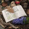 Книга «Традиционная вышивка Соволесья»