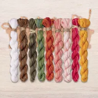 Набор ниток OwlForest для схемы «Пора цветения» (DMC)