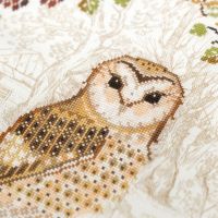 Электронная схема «Сипуха»