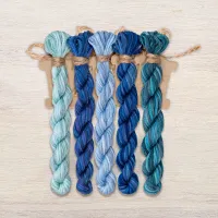 Набор ниток OwlForest для схемы «Птицы счастья» (DMC)