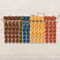 Набор ниток OwlForest для схем «Индейские мотивы» (DMC) 5 цветов