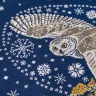Набор для вышивания «Сова-зима»