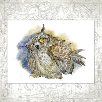 Открытка «Bubo Bubo»