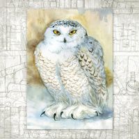 Открытка «Белая сова»