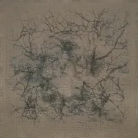 Печатная ткань «Чёрный лес», 32ct