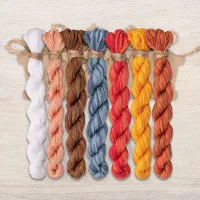 Набор ниток OwlForest для схемы «Пословицы. Birds of Feather» (DMC) 