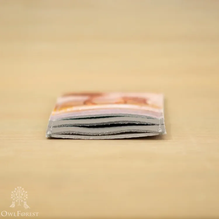 Картхолдер «Дикие гуси»