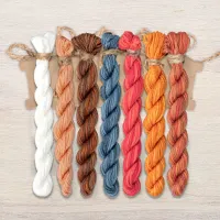 Набор ниток OwlForest для схемы «Пословицы. Birds of Feather» (ПНК) 