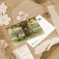 Открытка «Дуб на берегу реки»