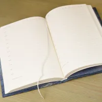 Ежедневник «Звёздные медведи»