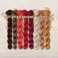 Набор ниток OwlForest для схемы «Калиновые колибри» (DMC)