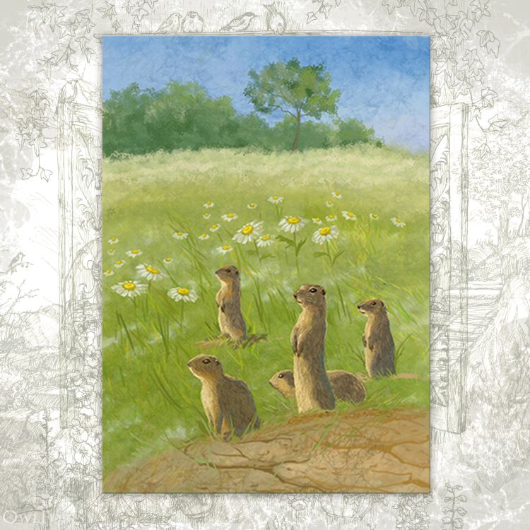 Открытка «Сторожевые суслики»
