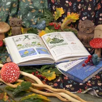 Книга «Путеводитель по Филинграду»