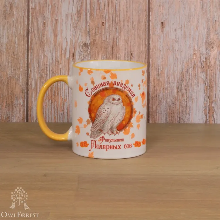 Кружка «Факультет Полярных сов»