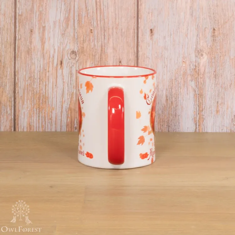 Кружка «Факультет Мохноногих сычей»