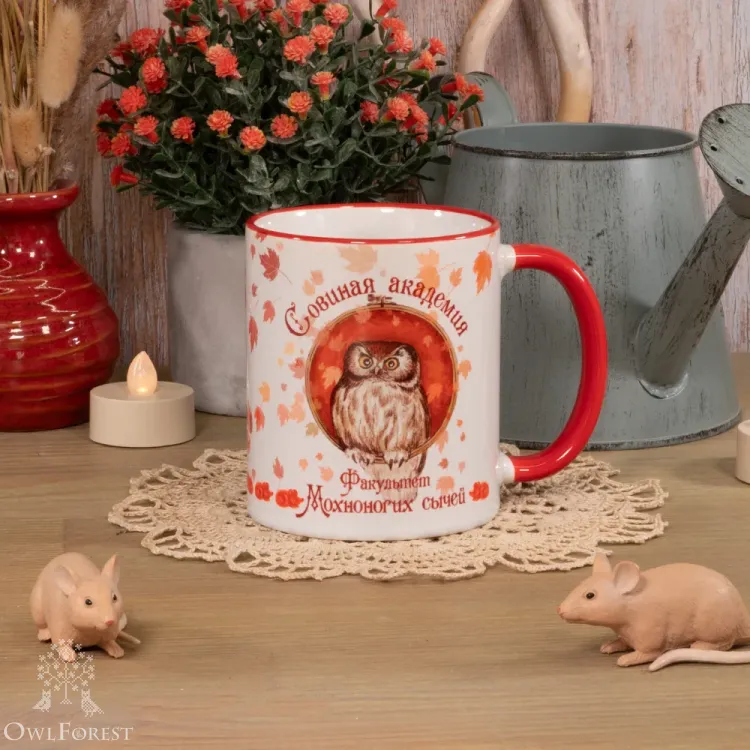 Кружка «Факультет Мохноногих сычей»