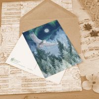 Открытка «Полярная ночь»