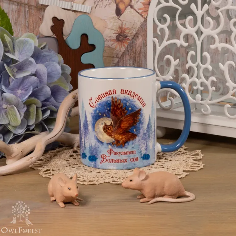 Кружка «Факультет Вольных сов»