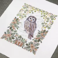 Схема для вышивания «Уральская неясыть» 