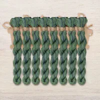 Набор ниток для рамки «Двенадцать месяцев» (DMC)