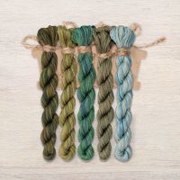 Набор ниток OwlForest для схемы «Черепаховый квакер» (DMC)