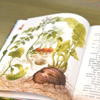 Книга «Ботанические сказки» Мамин-Сибиряк, Куприн, Андерсен