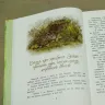 Книга «Алёнушкины сказки» Мамин-Сибиряк Д.Н.