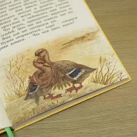 Книга «Серая Шейка» Мамин-Сибиряк Д.Н.