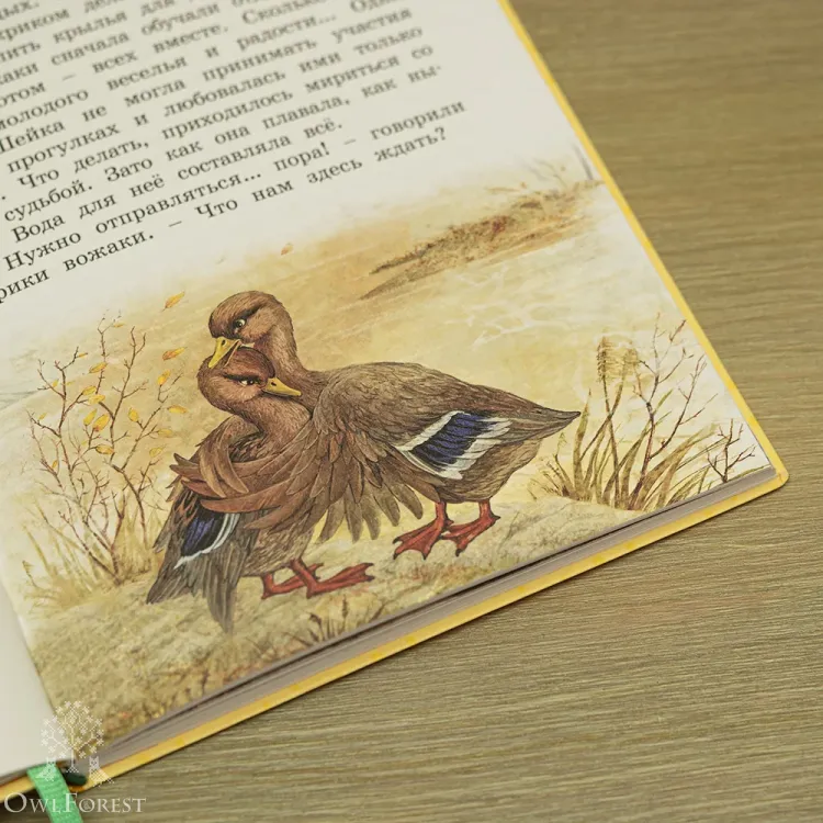 Книга «Серая Шейка» Мамин-Сибиряк Д.Н.